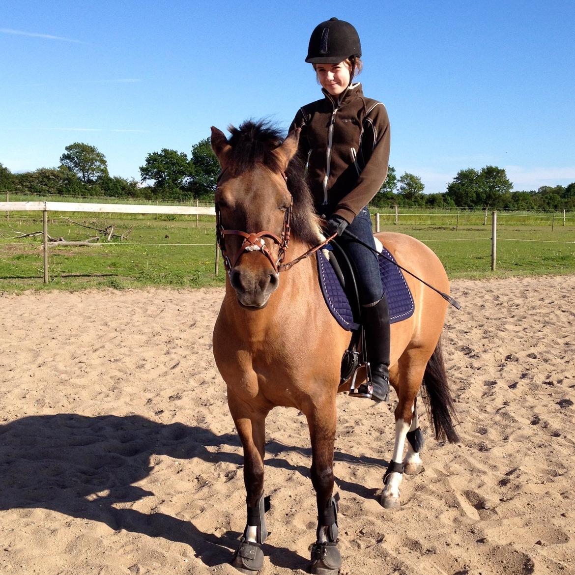 Anden særlig race Flicka <3 - Så fin! billede 15