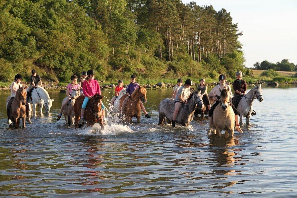 Anden særlig race Helleruphus Celeste (gamle part) billede 15