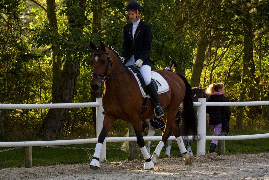 Anden særlig race Cherif *my soulmate*<3<3 solgt  - Foto: L.Moltzen billede 7