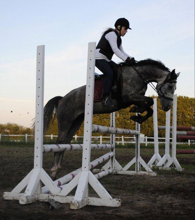 Anden særlig race Grønvangs Fleur de Lis - Et hop på 90-100 cm :D billede 6