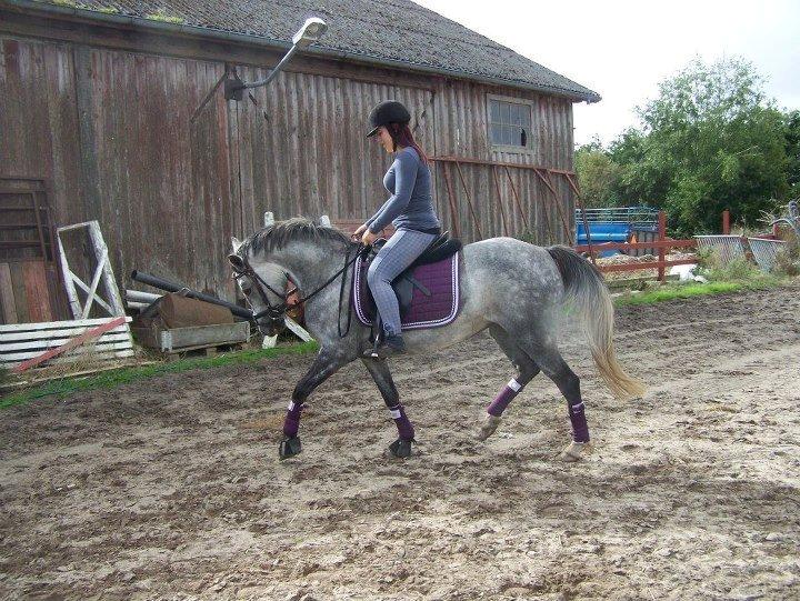 Anden særlig race Grønvangs Fleur de Lis billede 8