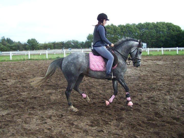 Anden særlig race Grønvangs Fleur de Lis - God arbejdsgalop på springbanen :D billede 10