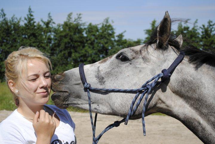 Anden særlig race Grønvangs Fleur de Lis - At noget er perfekt betyder nødvendigvis ikke at det er fejlfrit, men at du ikke ønsker det anderledes! ♥ billede 16