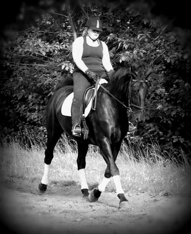 Oldenborg Black Jack *Solgt* billede 10