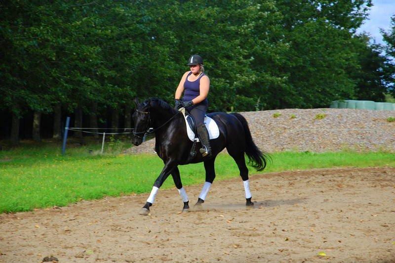 Oldenborg Black Jack *Solgt* billede 13