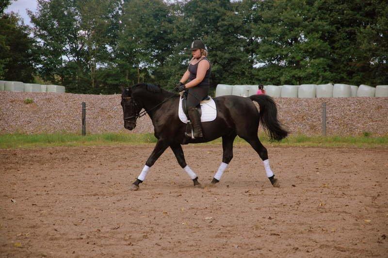 Oldenborg Black Jack *Solgt* billede 15