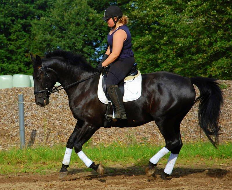 Oldenborg Black Jack *Solgt* billede 16