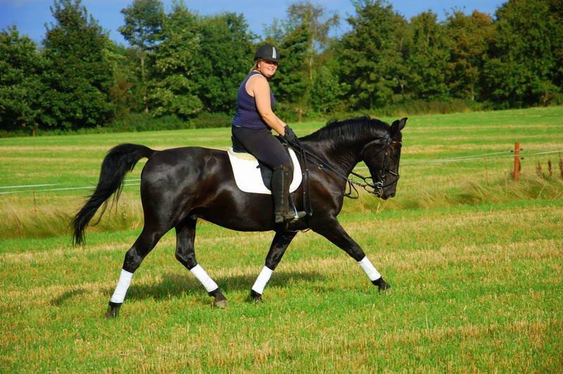 Oldenborg Black Jack *Solgt* billede 17