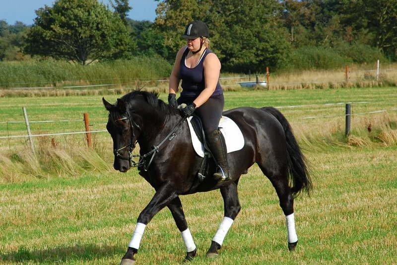 Oldenborg Black Jack *Solgt* billede 18