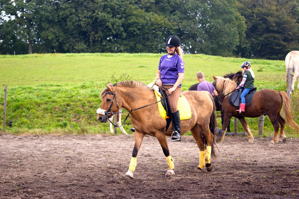 Anden særlig race Penny [Min eneste ene] - Minskat!<3  billede 2
