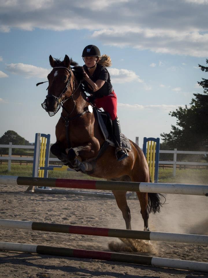 Anden særlig race Huntelaar billede 2