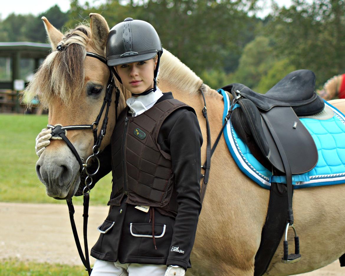 Fjordhest Viktor Vårby *Guldklumpen* - han var så dygtig til Sjællandsmesterskaberne i spring for Fjordheste! billede 10