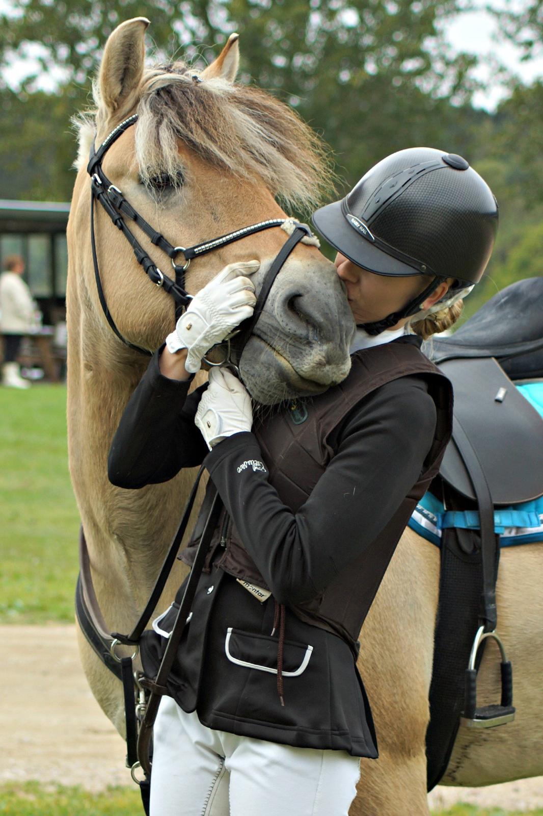 Fjordhest Viktor Vårby *Guldklumpen* - Min dejlige springpony :* billede 9