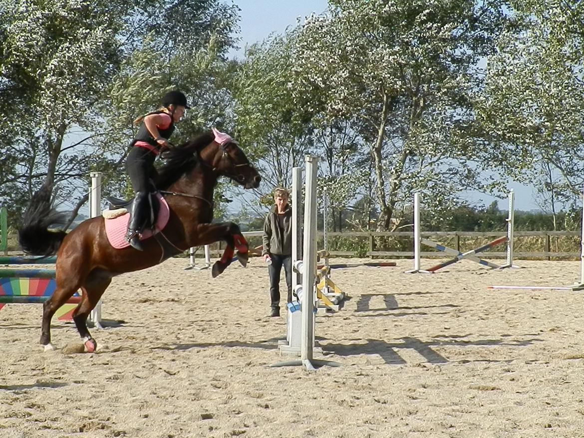 Anden særlig race Hercules billede 11