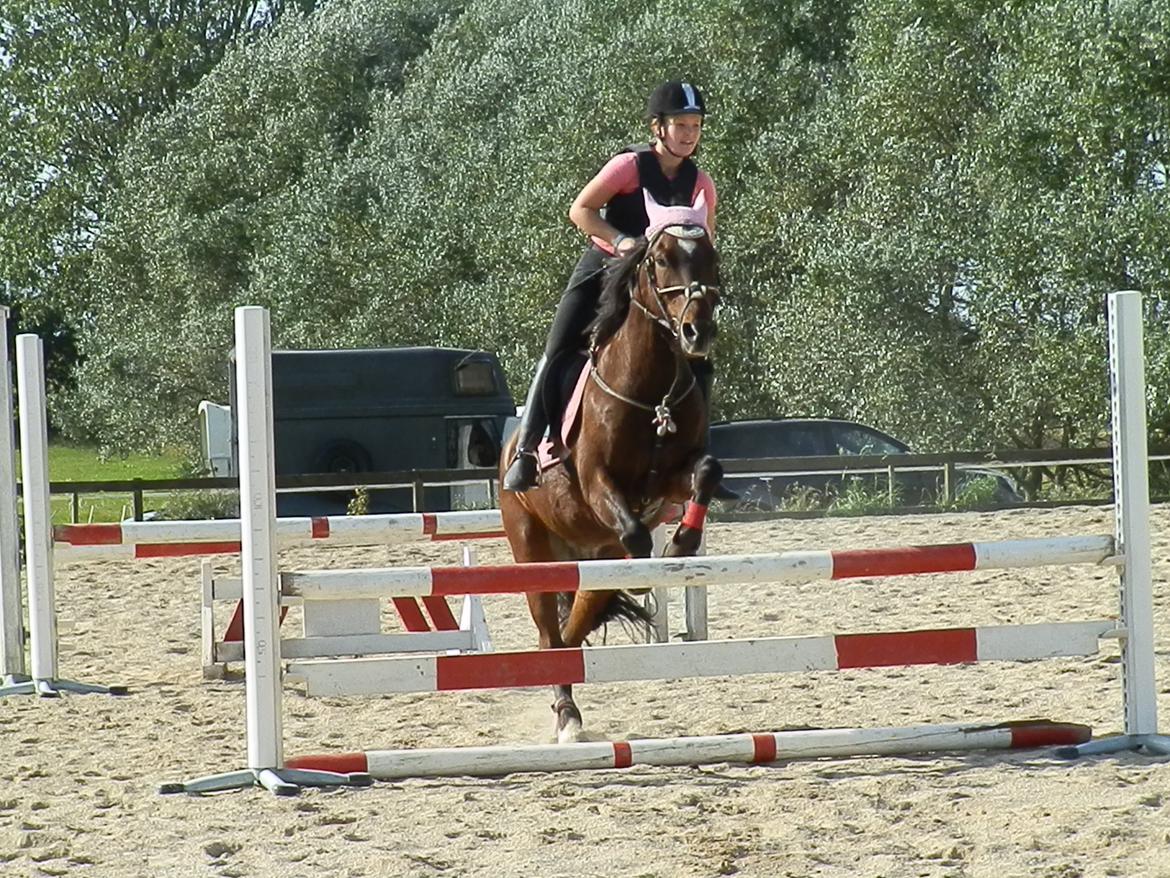 Anden særlig race Hercules billede 14