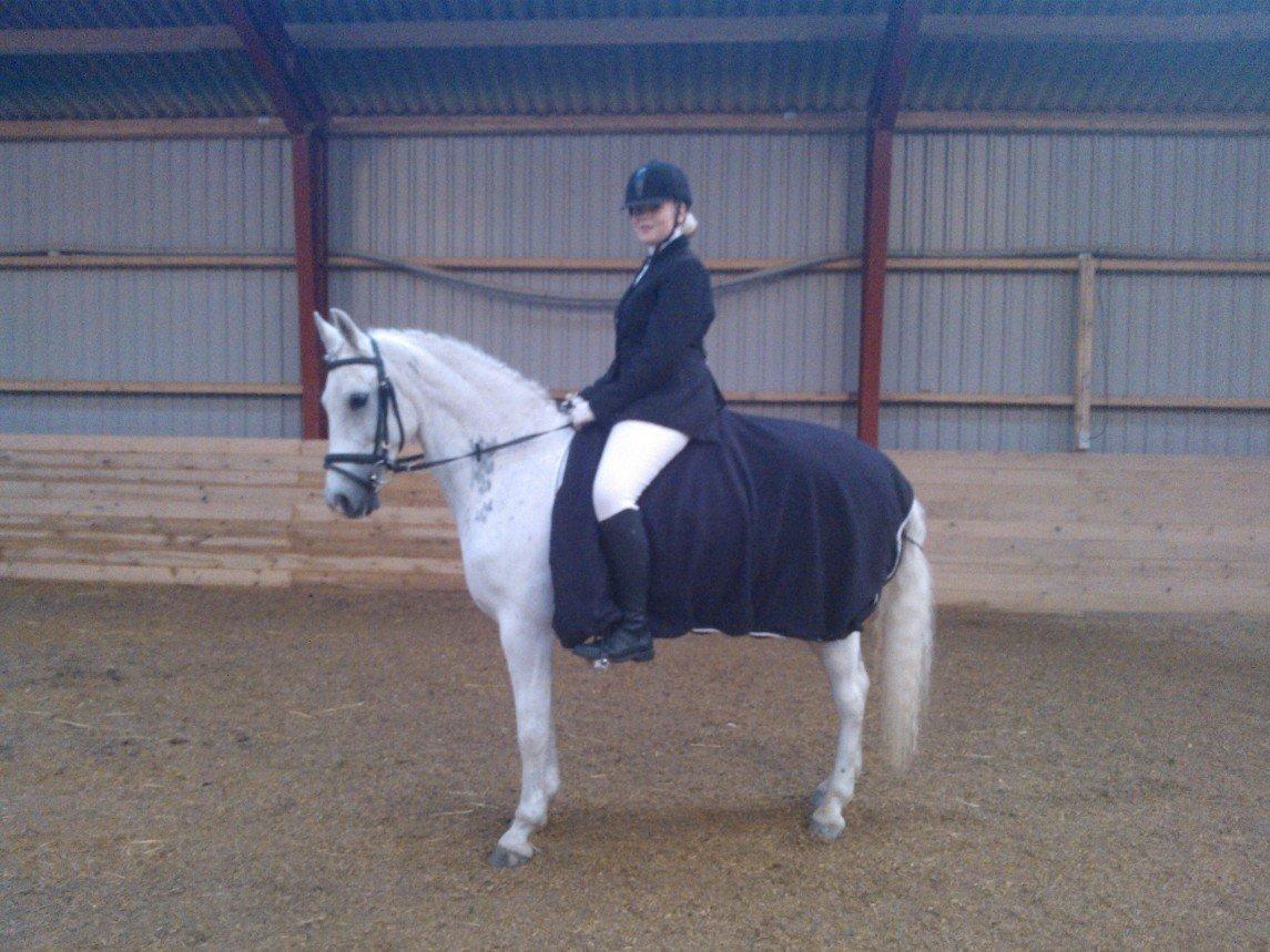 Anden særlig race Søvinds Silvermoon <3 R.I.P <3 :'( billede 11