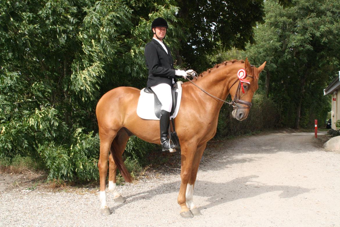 Anden særlig race **Champagne** billede 14