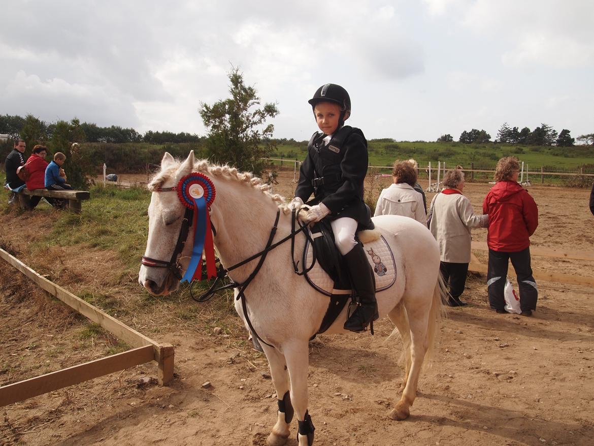 Welsh Pony (sec B) Speedy Gonzarles - Fra den 16. september 2012 billede 20