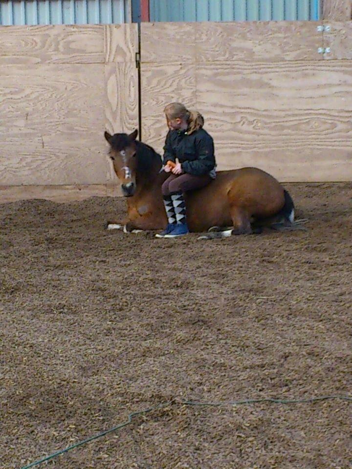 Anden særlig race Frig - Når du tager afsted, flyver mit hjerte med. <3  billede 3