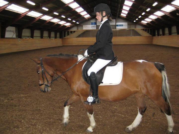 Anden særlig race Frig billede 8