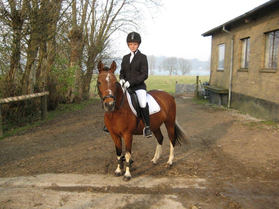 Anden særlig race Frig billede 10