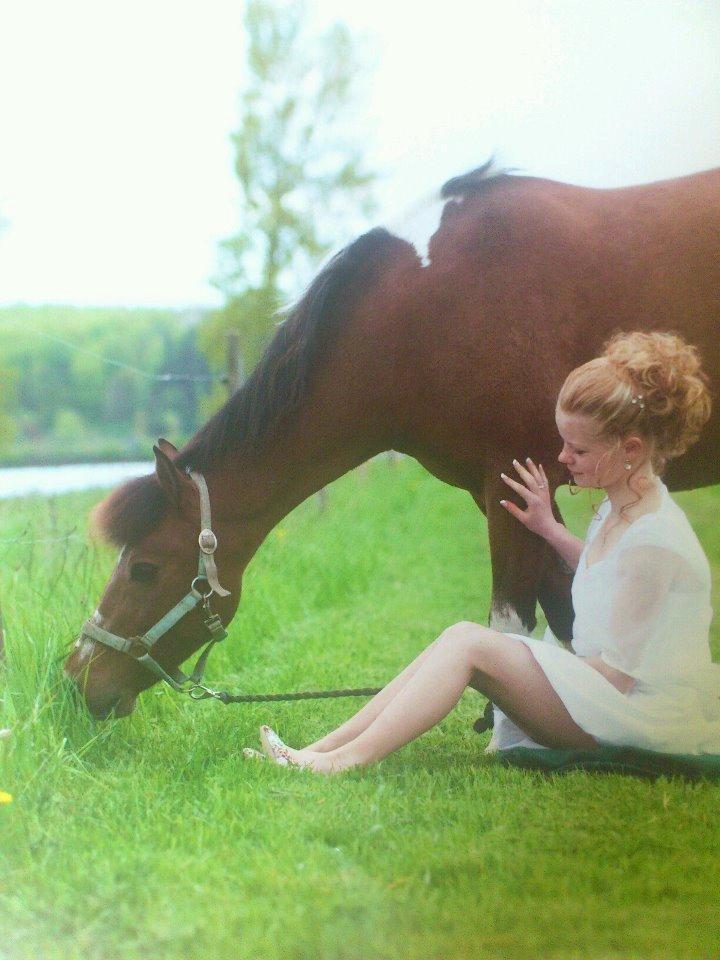 Anden særlig race Frig billede 6