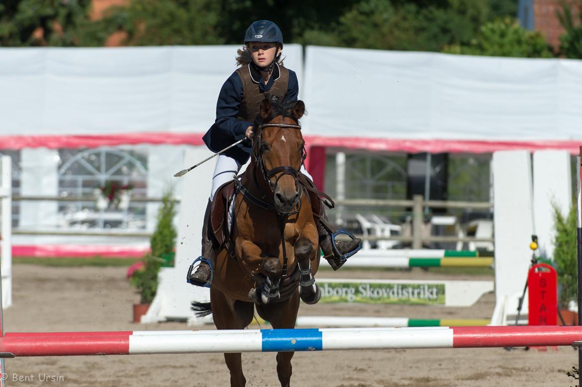 Anden særlig race Emil Lønneberg-springstjernen!!!<3R.I.P - LB til KAR open
0 fejl
Jeg giver mit smil til alle, mit venskab til de fleste, men kun min kærlighed til en... <3 billede 17