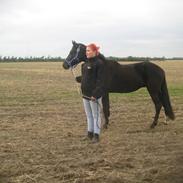 Traver Pas På Grand