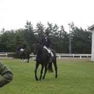 Anden særlig race Landrover Bally