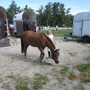 DSP Mille *Hvil i fred*