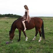 Anden særlig race Bellami