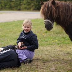 Shetlænder Morticia <3 (tidligere Trunte)