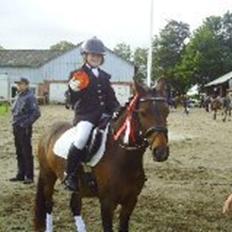 Anden særlig race Solgt koh-I-Noor 