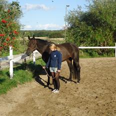 Holstener Columbus B