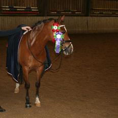 Anden særlig race Joke. <33