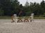 Holstener GREENHEART - STJERNEN! <3