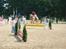 Haflinger Nordan`s Aurora *EM GULD* - EM 