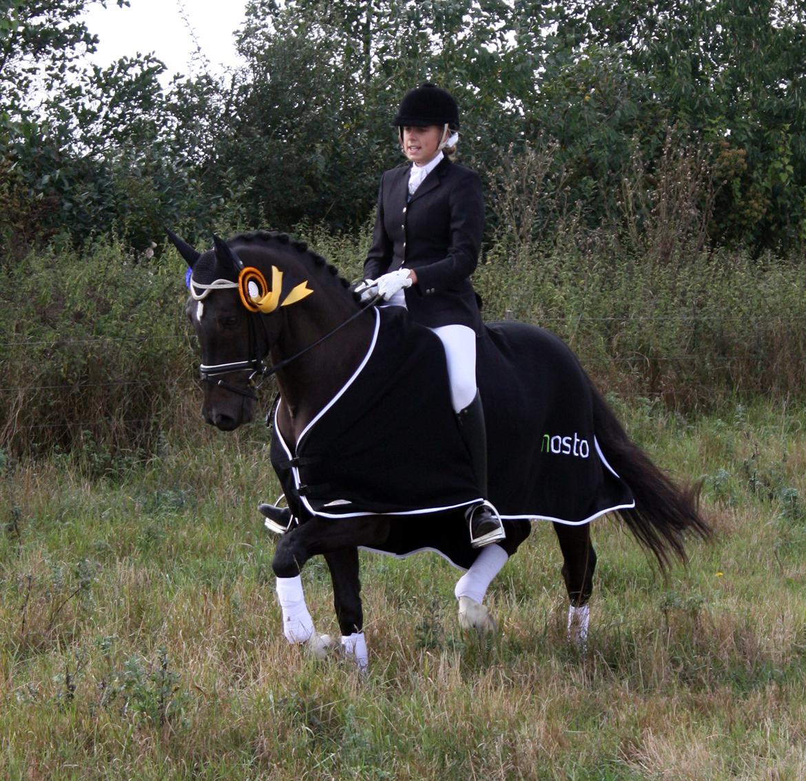 Dansk Varmblod Lindehøjs Leneiux (Kompis) - 2. plads til sjællandsmesterskab junior <3 Foto: Far billede 3