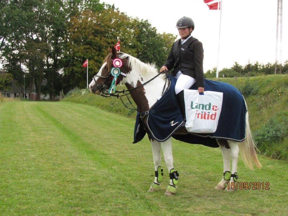 Pinto SCHIILLINGÅRD'S MONIQUE ** - distriktmesterskab møllebakkens rideklub 
LB 1. plads 
LC 3. plads billede 13