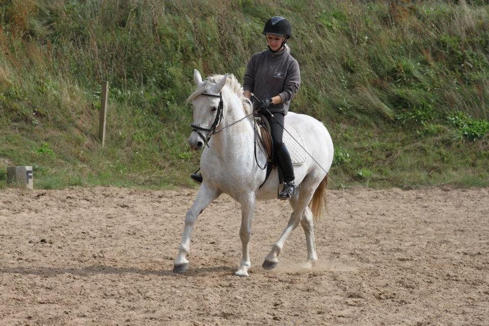 Connemara Elita Nordskov - Foto: Kit C - 19/8-12 billede 20