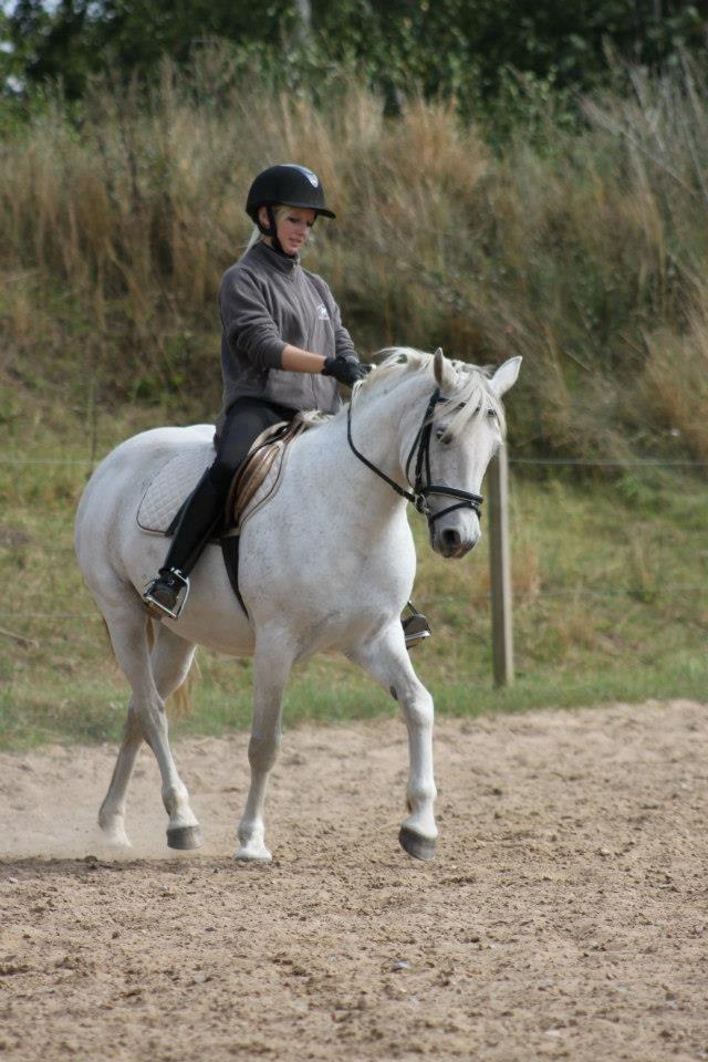 Connemara Elita Nordskov - Foto: Kit C - 19/8-12 billede 10