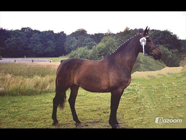 Oldenborg Upsala Højbogård - i hendes unge dage billede 7