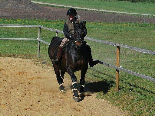 Oldenborg Upsala Højbogård billede 8