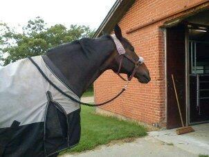 Oldenborg Upsala Højbogård billede 9