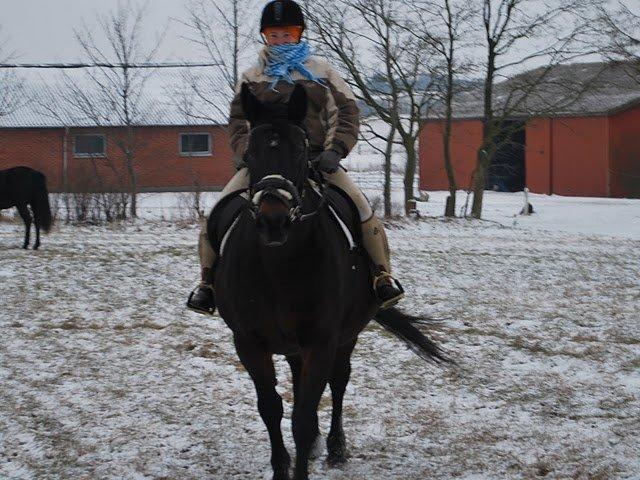 Oldenborg Upsala Højbogård billede 10