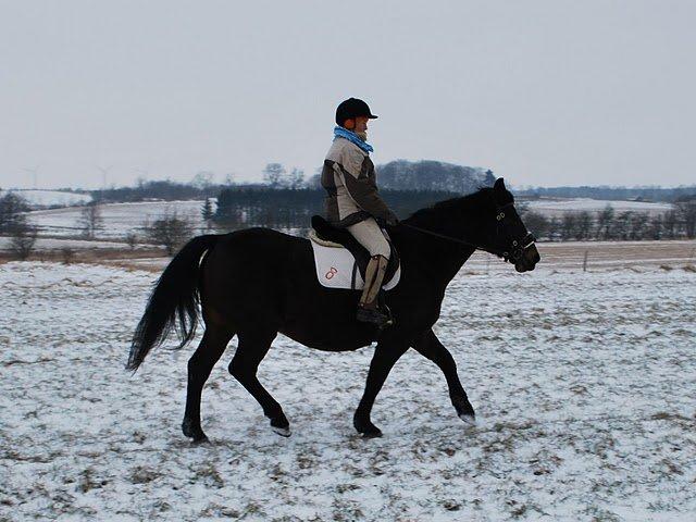Oldenborg Upsala Højbogård billede 11