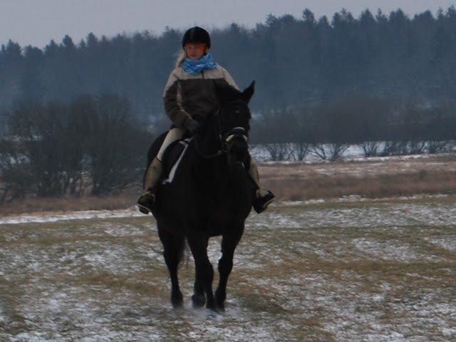 Oldenborg Upsala Højbogård billede 12
