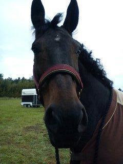 Oldenborg Upsala Højbogård billede 13