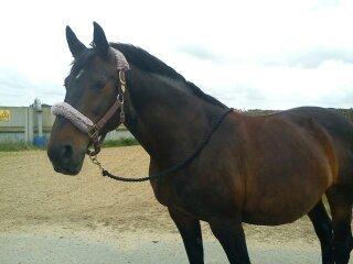 Oldenborg Upsala Højbogård billede 14