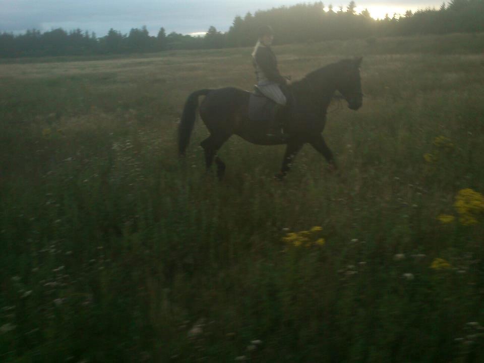 Oldenborg Upsala Højbogård billede 20